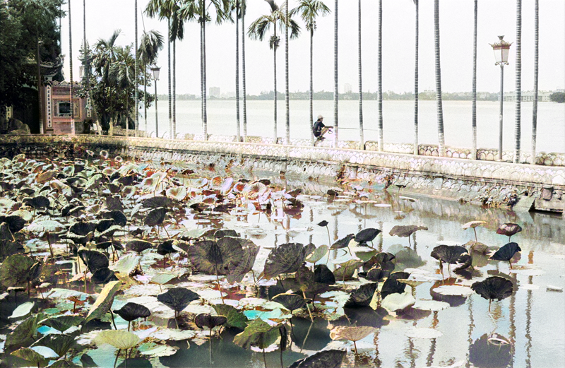 Man fishing in Hanoi after a storm, Colours come
       back through time