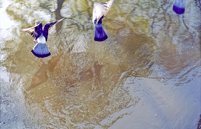 Slideshow Image 10