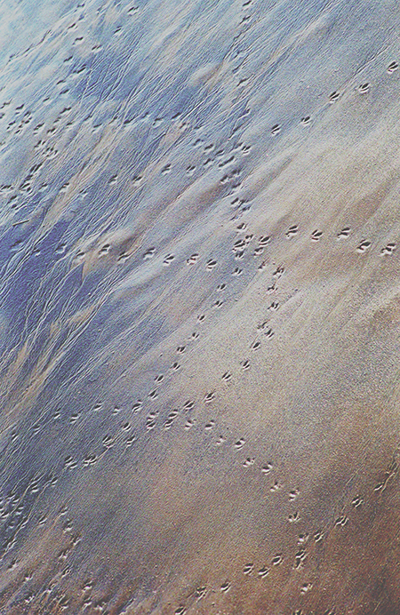 Musical notes on a page